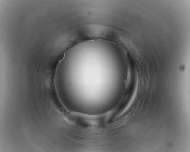 X0000091940416200709051526