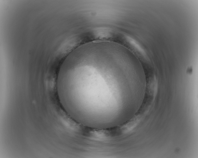 X0000091940417200709051526