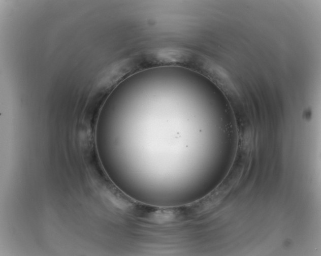 X0000091940418200709051526