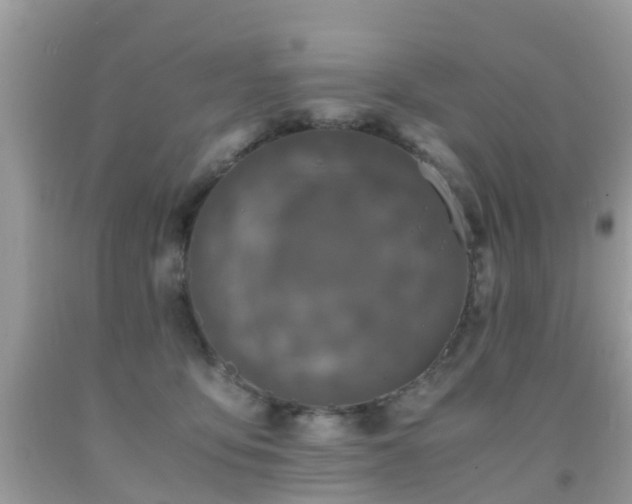 X0000091940419200709051526