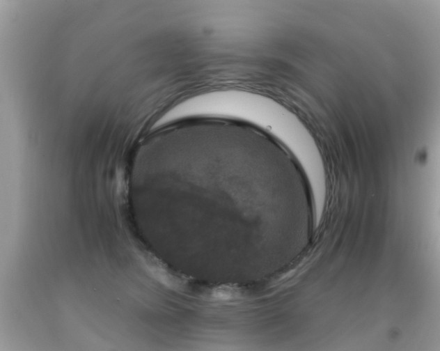 X0000091940420200709051526