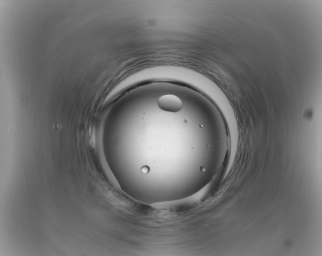 X0000091940421200709051526