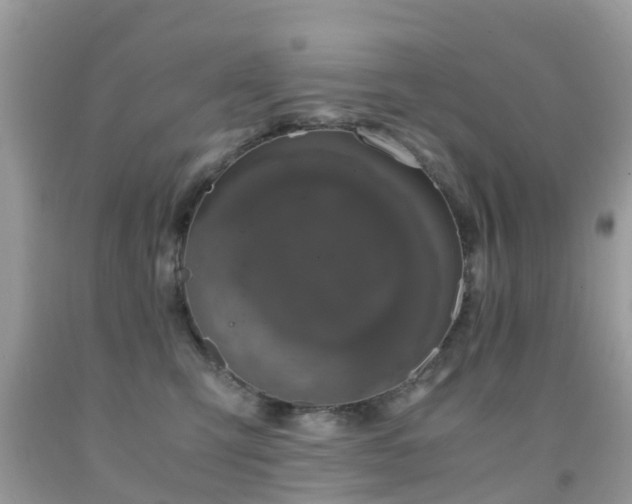 X0000091940423200709051526