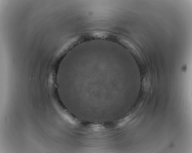 X0000091940424200709051526