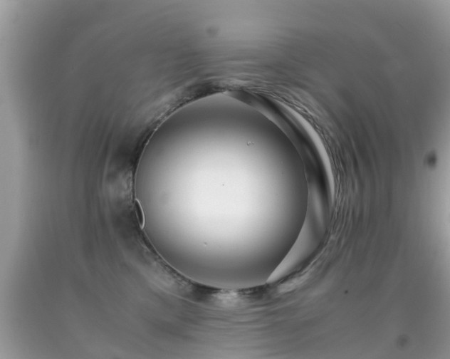 X0000091940425200709051526