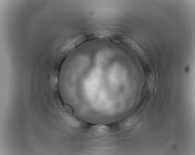 X0000091940427200709051526