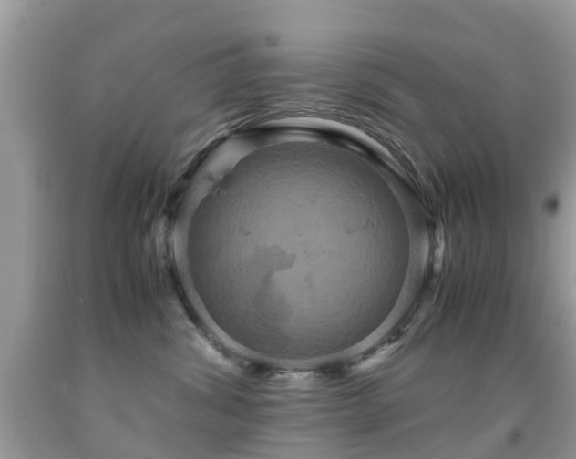 X0000091940428200709051526