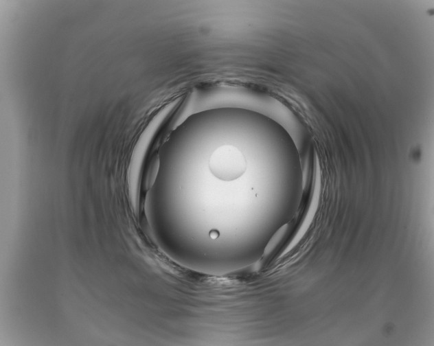 X0000091940429200709051526