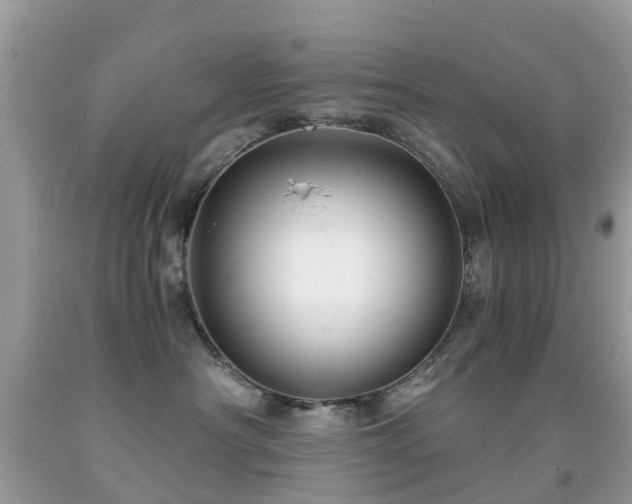 X0000091940430200709051526