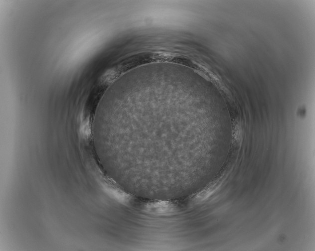 X0000091940431200709051526