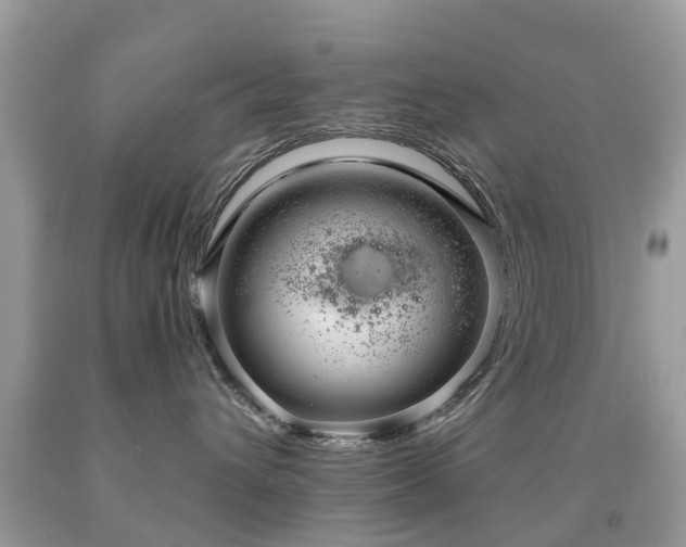 X0000091940432200709051526