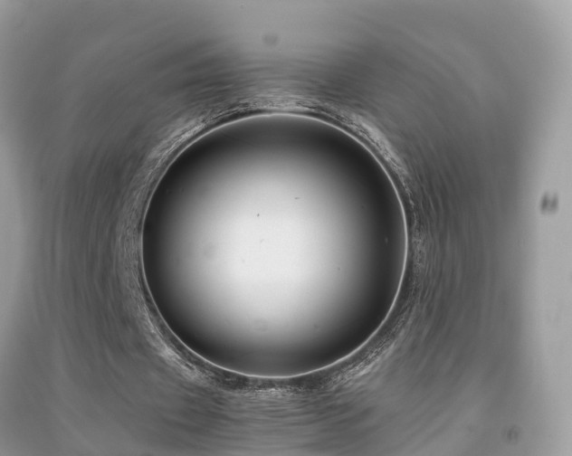 X0000091940433200709051526