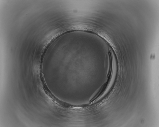 X0000091940434200709051526