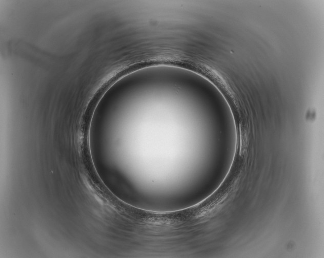 X0000091940435200709051526