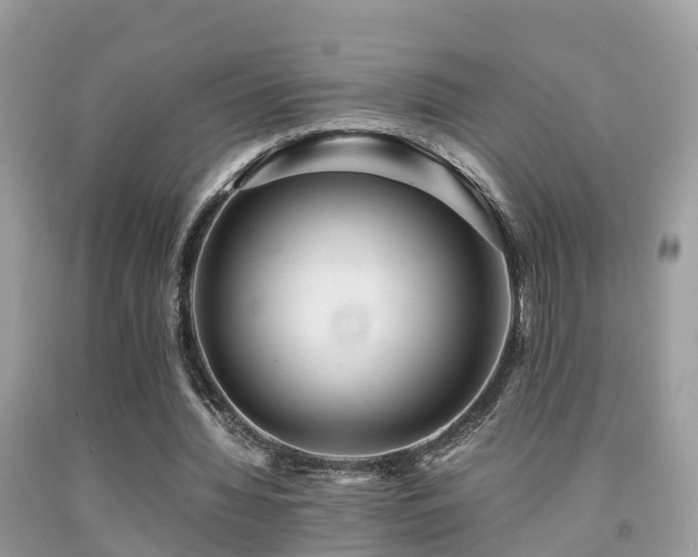 X0000091940436200709051526