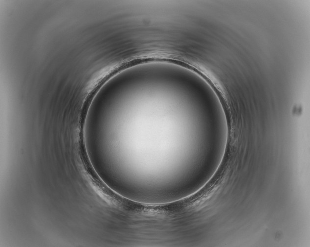 X0000091940437200709051526