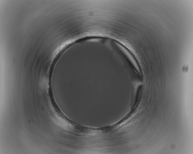 X0000091940438200709051526