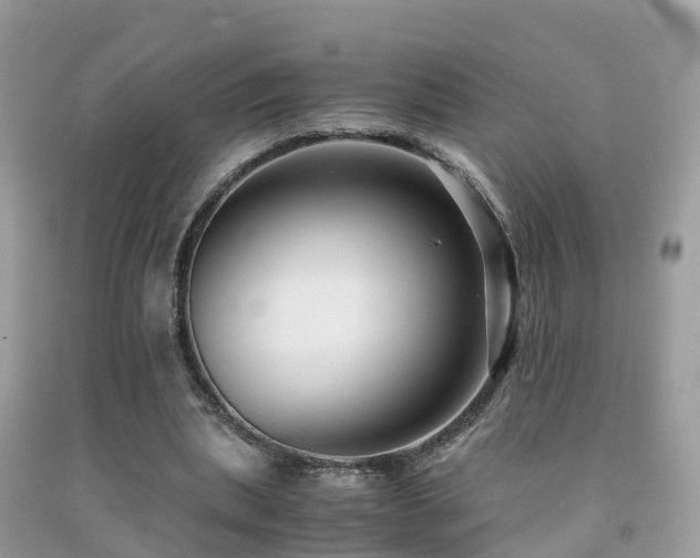 X0000091940439200709051526