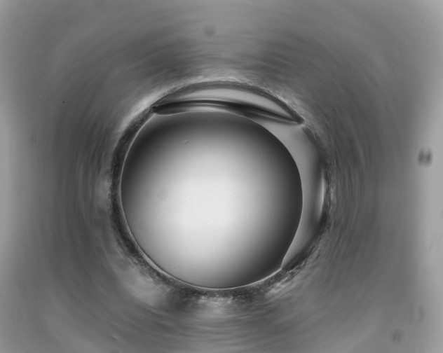 X0000091940440200709051526