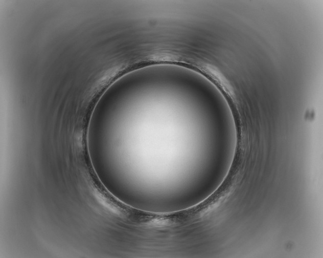 X0000091940441200709051526