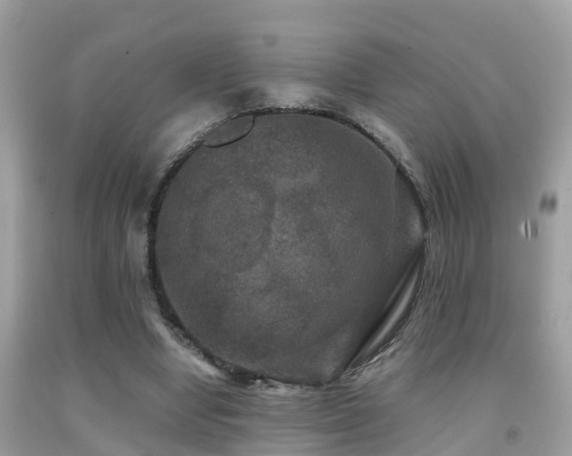 X0000091940442200709051526