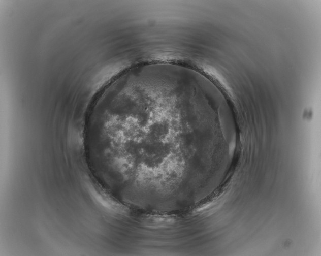 X0000091940443200709051526