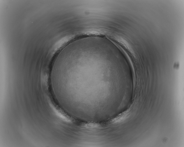 X0000091940444200709051526