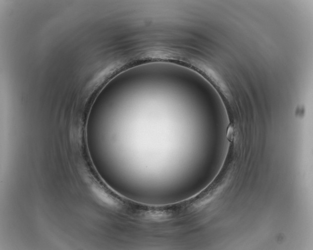 X0000091940445200709051526