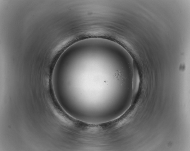 X0000091940446200709051526