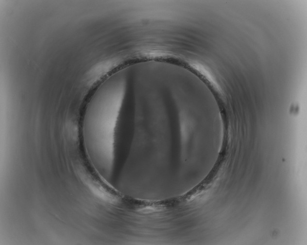 X0000091940447200709051526