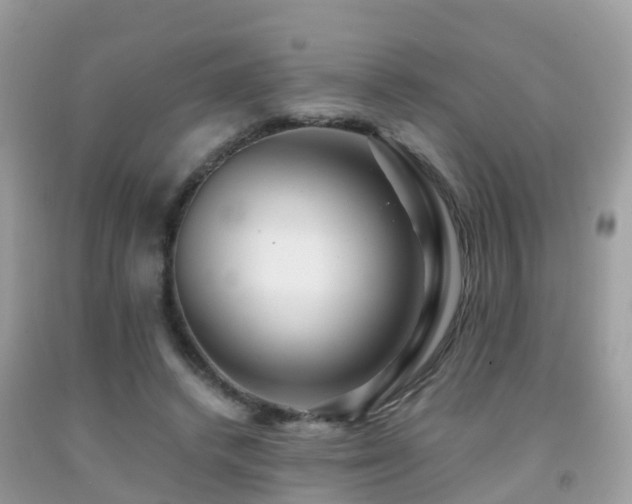 X0000091940448200709051526