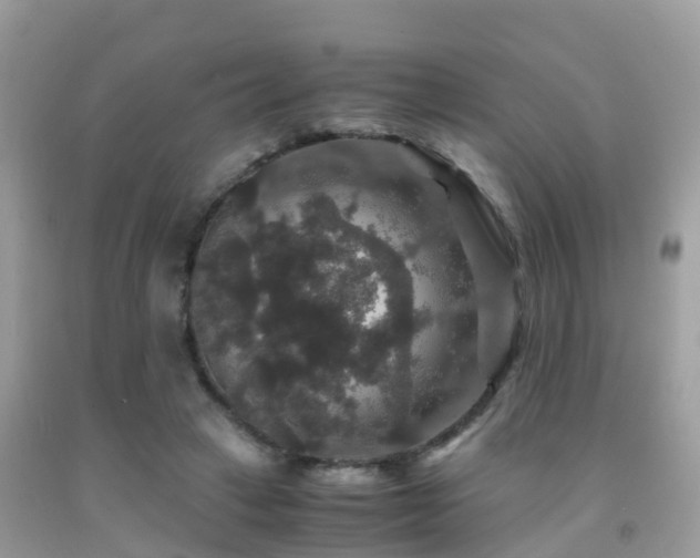 X0000091940449200709051526