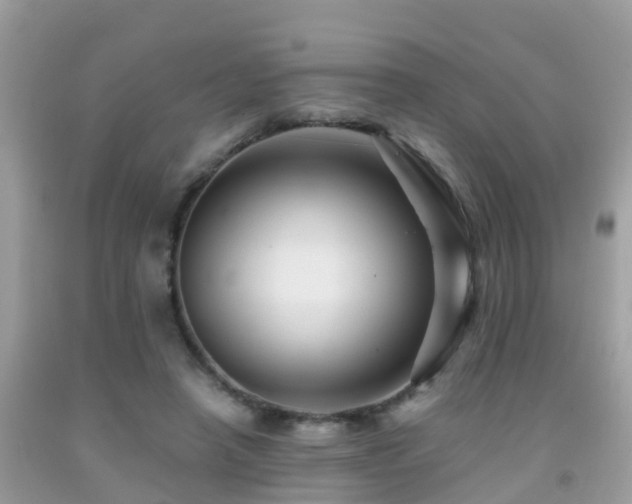 X0000091940450200709051526