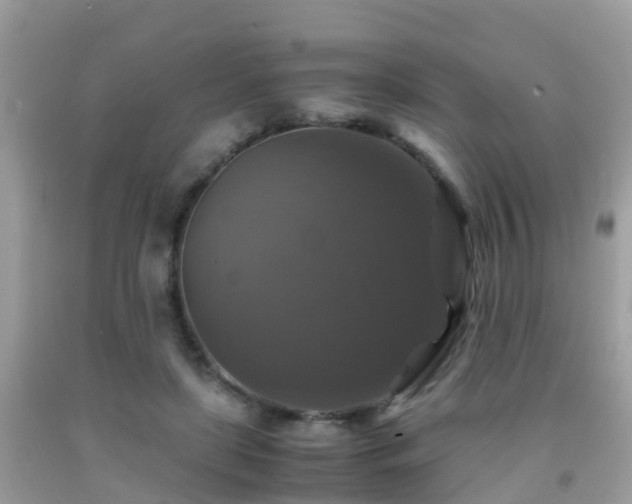 X0000091940451200709051526