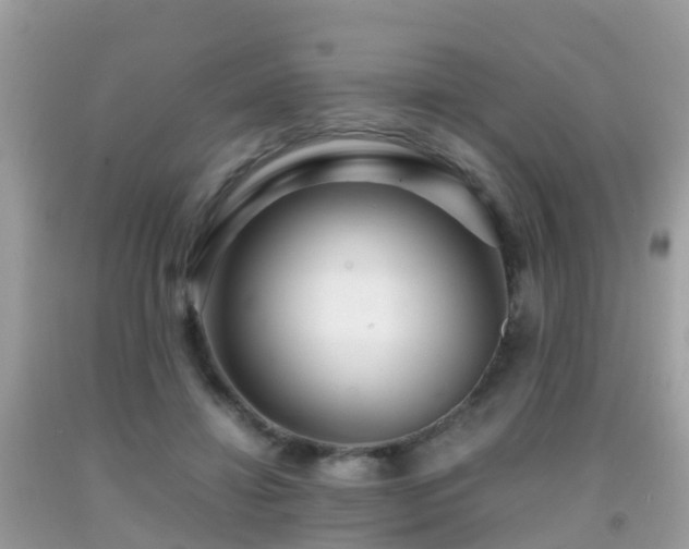 X0000091940452200709051526