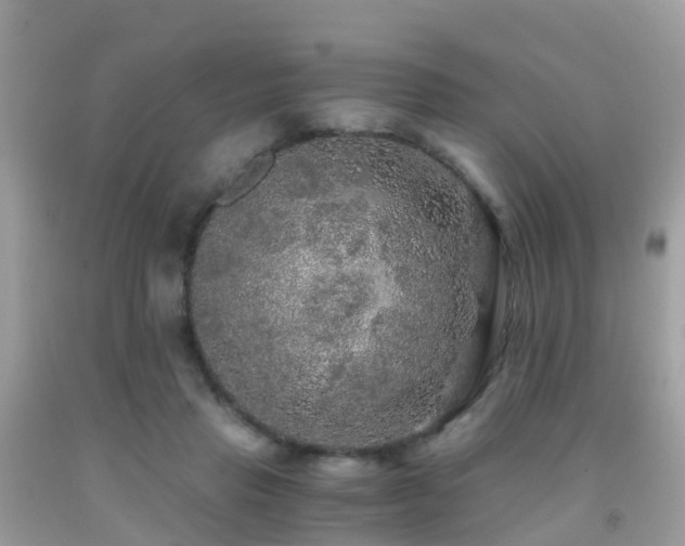 X0000091940453200709051526