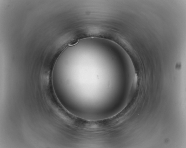 X0000091940454200709051526