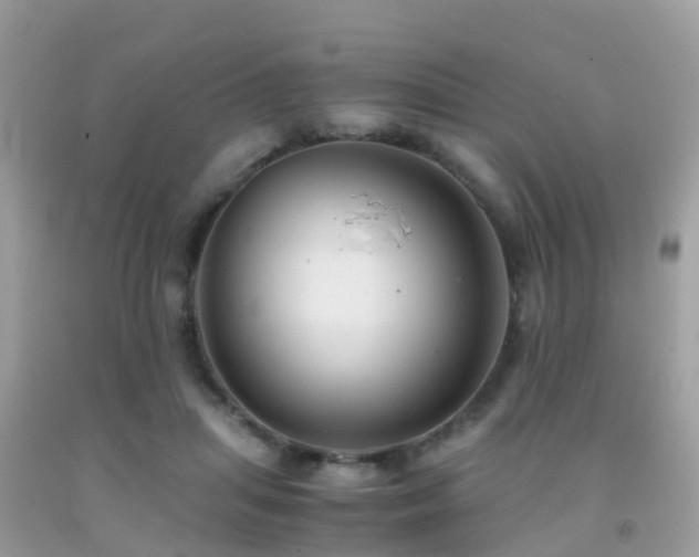 X0000091940455200709051526