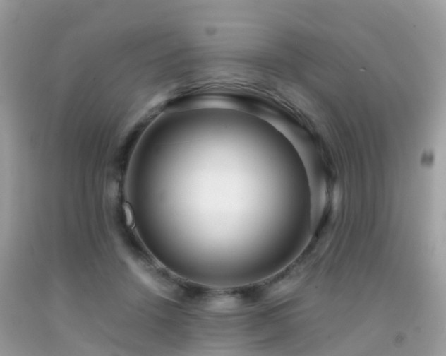 X0000091940456200709051526