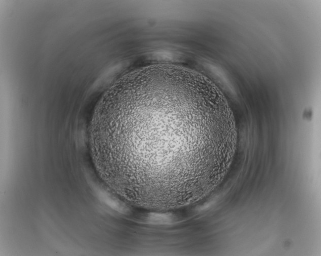 X0000091940457200709051526
