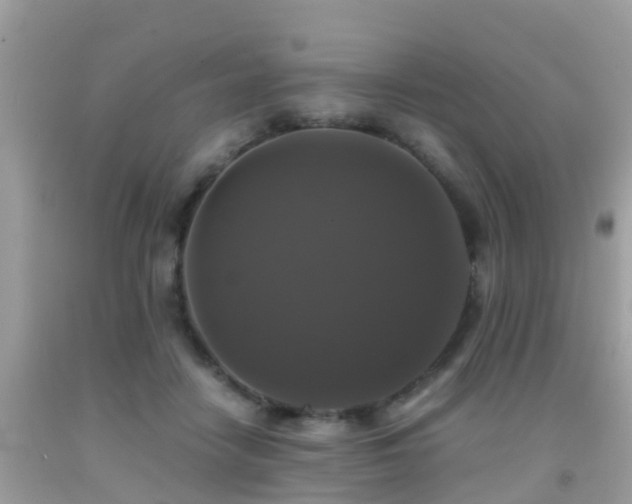 X0000091940458200709051526