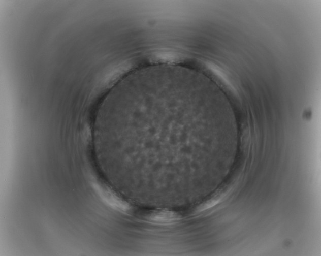 X0000091940459200709051526