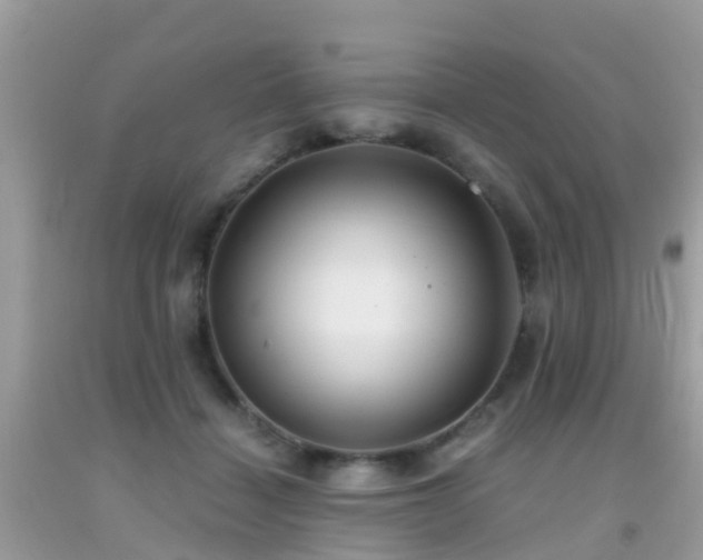 X0000091940460200709051526