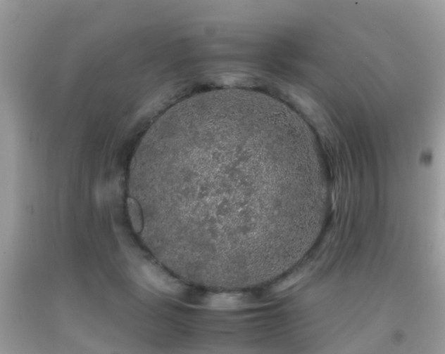 X0000091940461200709051526