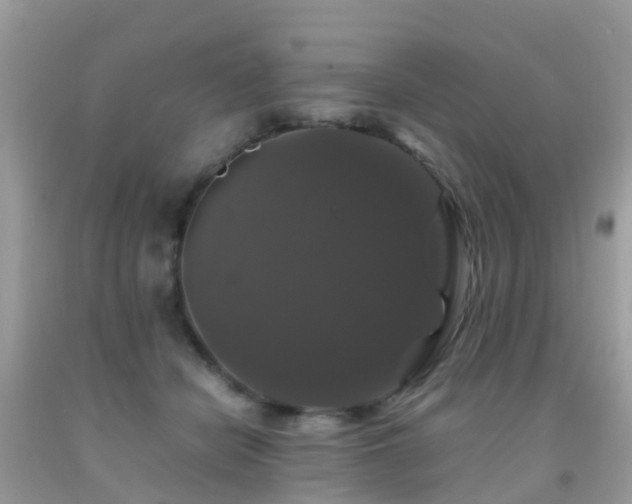 X0000091940462200709051526