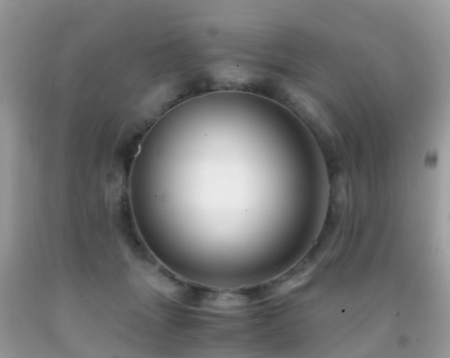 X0000091940463200709051526