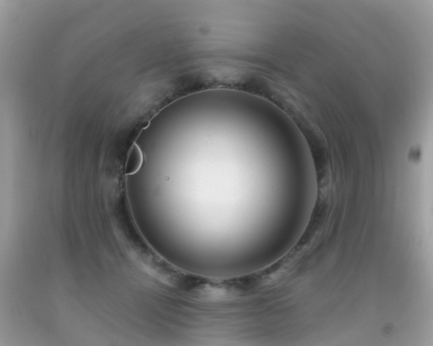 X0000091940464200709051526