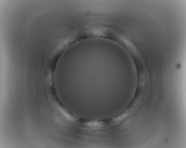 X0000091940465200709051526