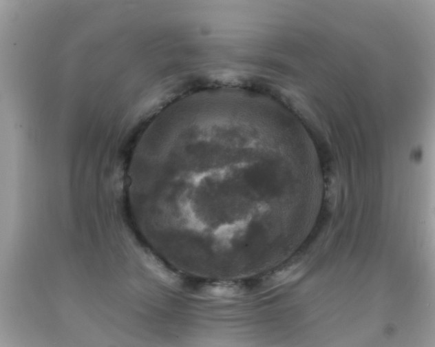 X0000091940466200709051526