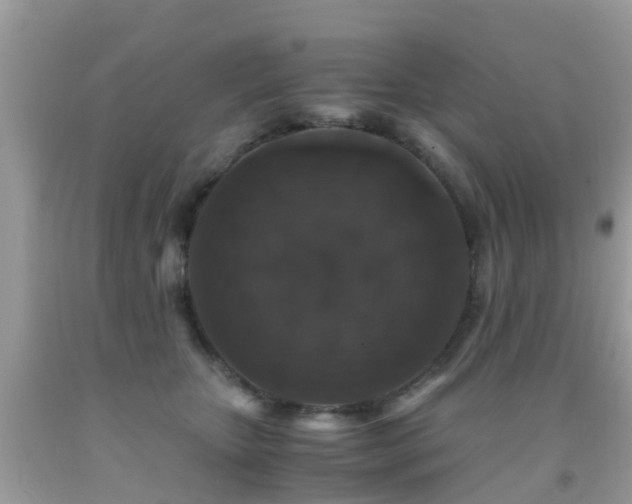 X0000091940467200709051526